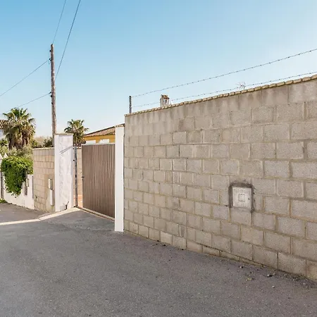 Rubio Cabeza Nyaraló Conil de la Frontera