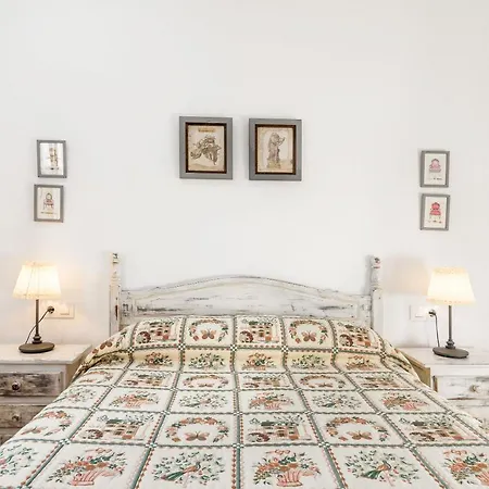 Rubio Cabeza Nyaraló Conil de la Frontera