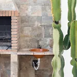 Rubio Cabeza * Conil De La Frontera